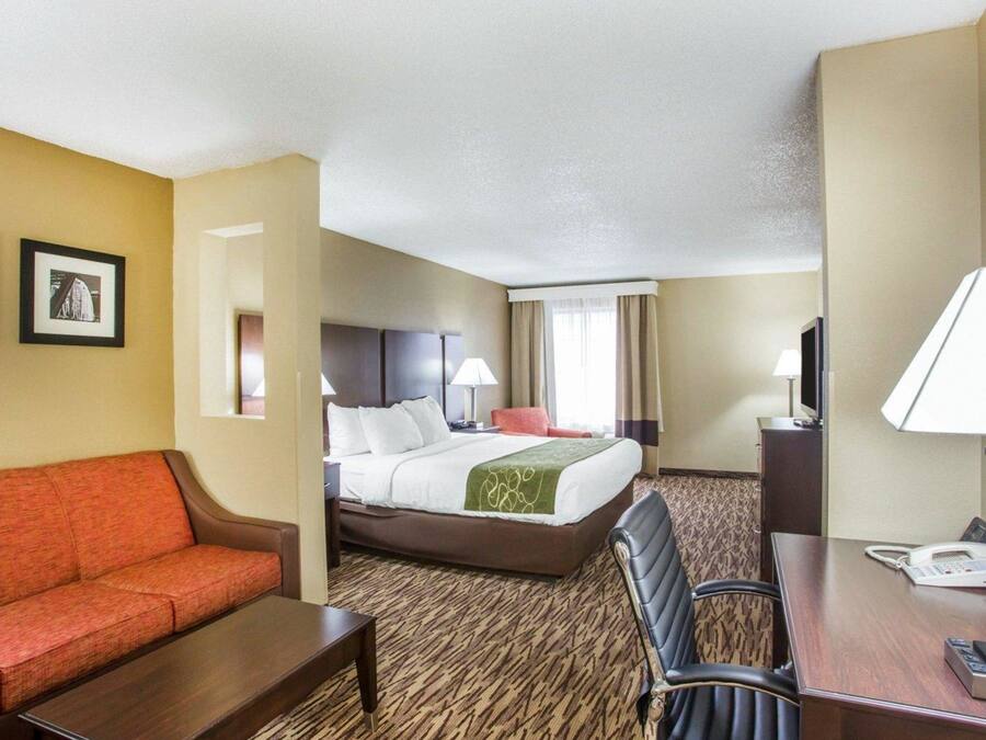 A hotel room with a bed, a sofa, a desk, and a chair.