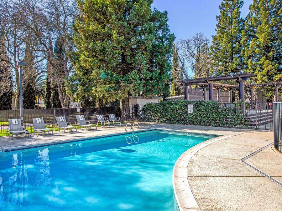 A rectangular swimming pool with a tiled edge, surrounded by a concrete deck. There are lounge chairs and a pergola structure in the background.