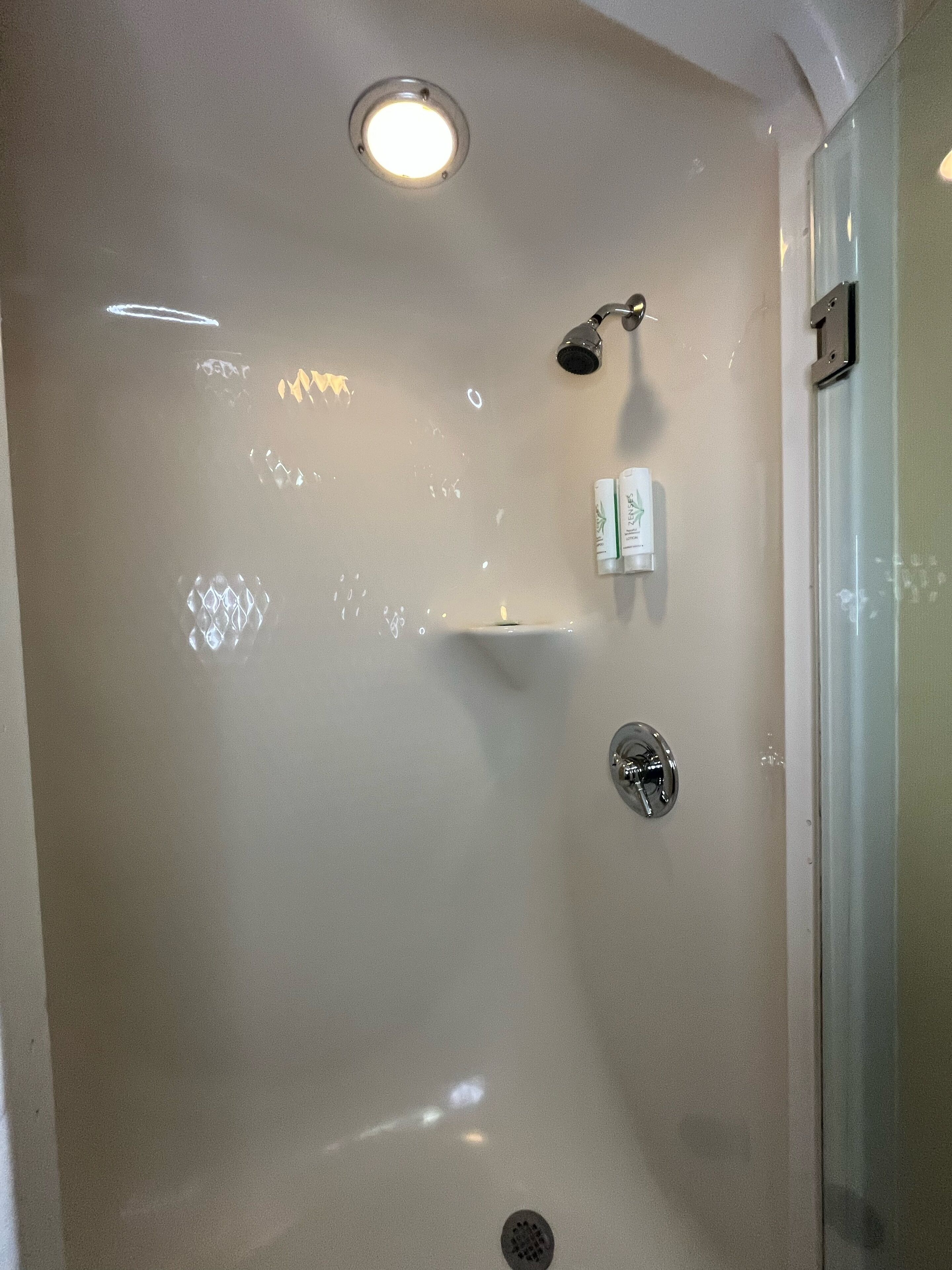 shower, free toiletries, hair dryer, towels