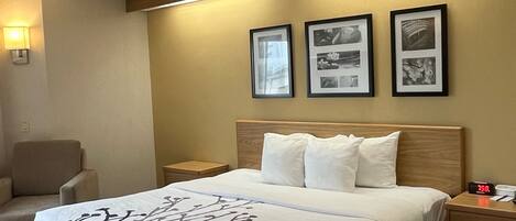 Standaard kamer, 1 kingsize bed, niet-roken | Een bureau, verduisterende gordijnen, een strijkplank/strijkijzer