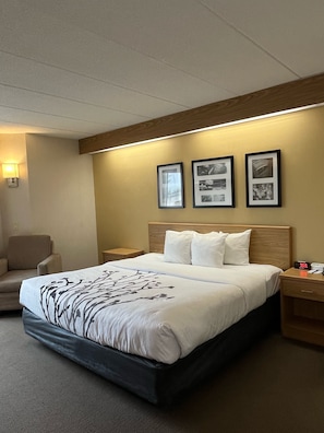 Standard Room, 1 King Bed, Non Smoking | Desk, blackout curtains, iron/ironing board, free WiFi