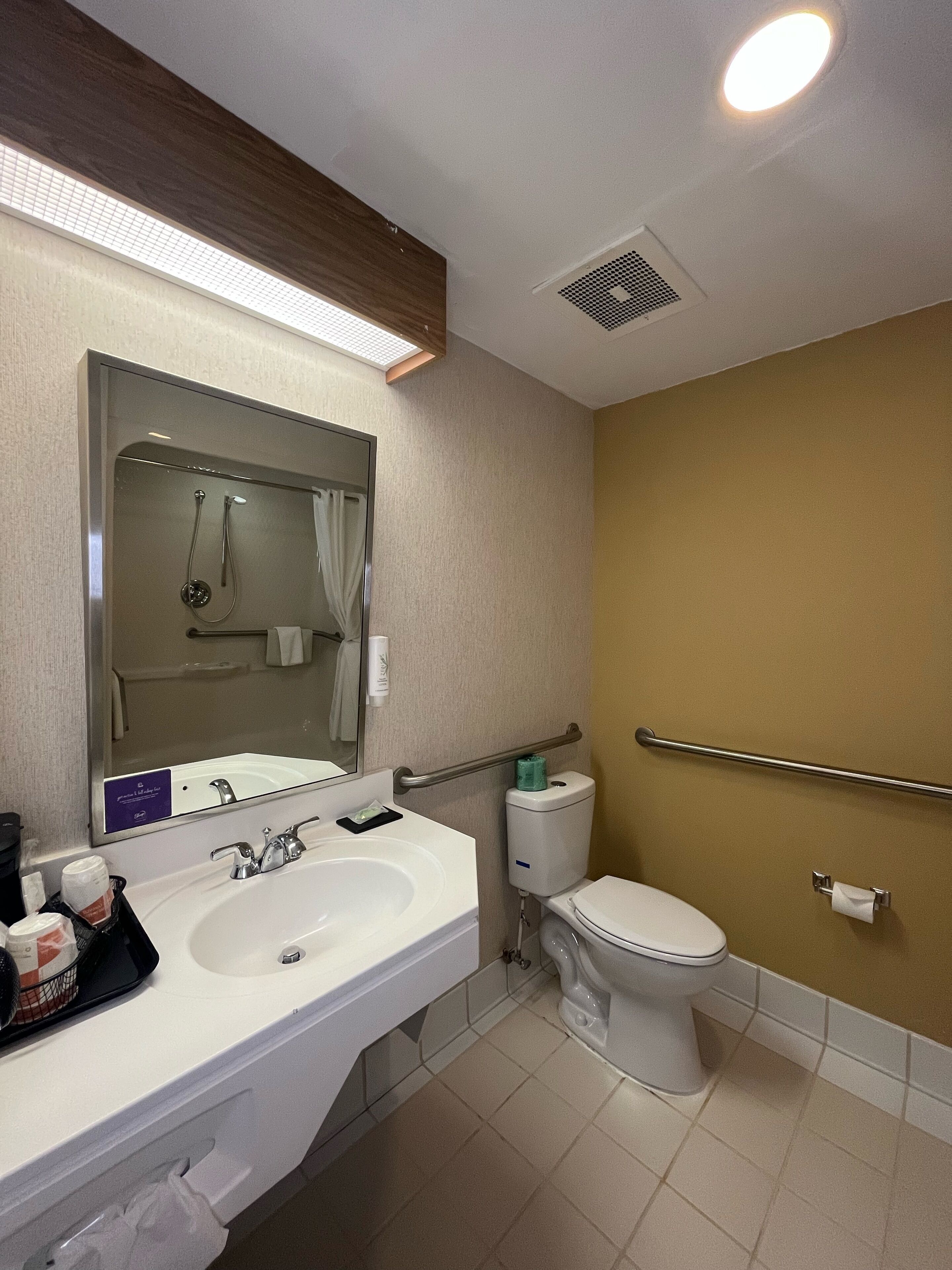 room, 1 queen bed, accessible, non smoking | bathroom | shower, free toiletries, hair dryer, towels