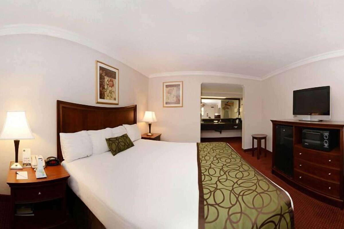 A hotel room with a bed, bedside lamps, a television, a dresser, and a mirror.