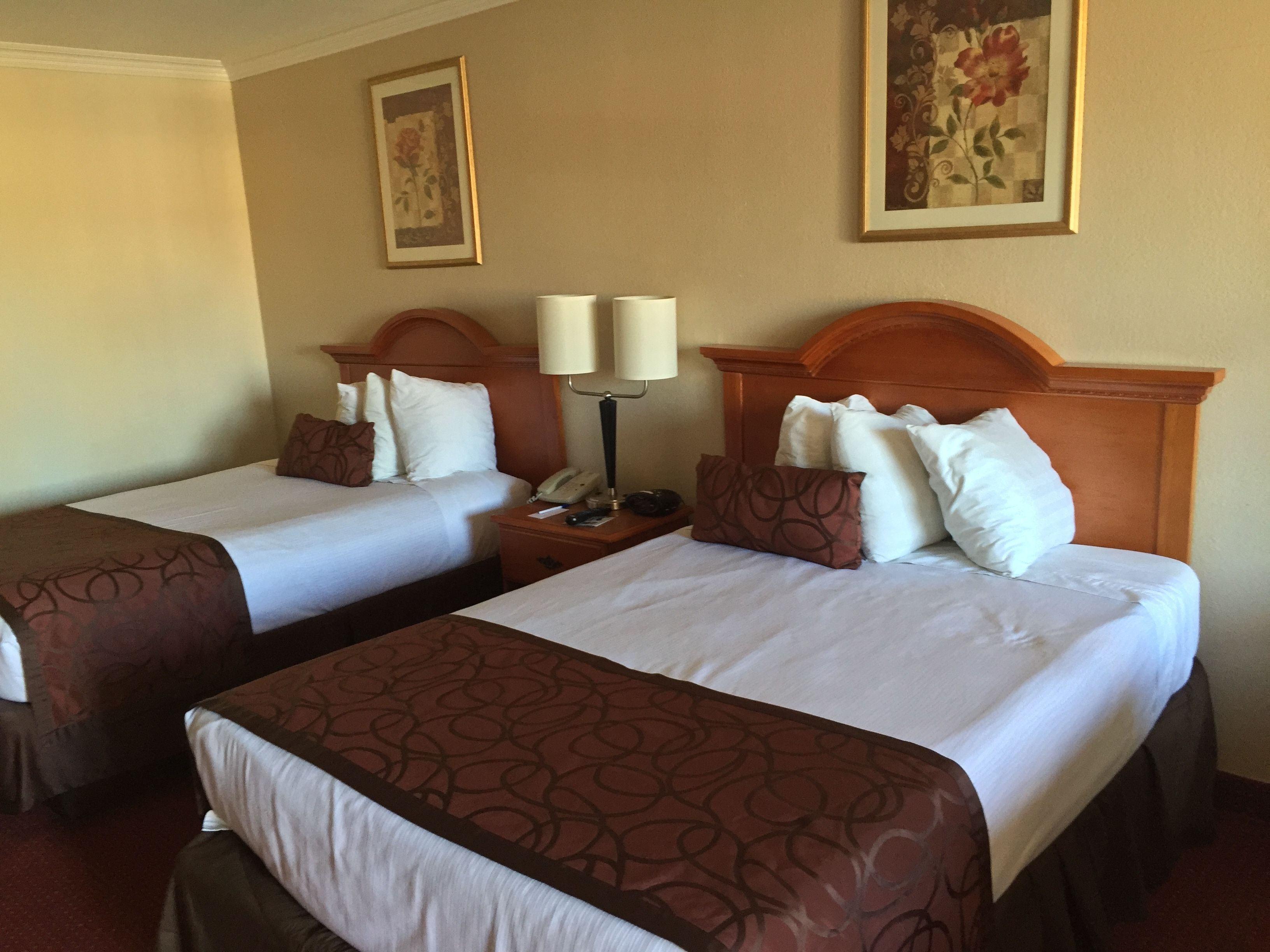 Two twin beds with headboards, a bedside table with a lamp, and a framed floral artwork on the wall.