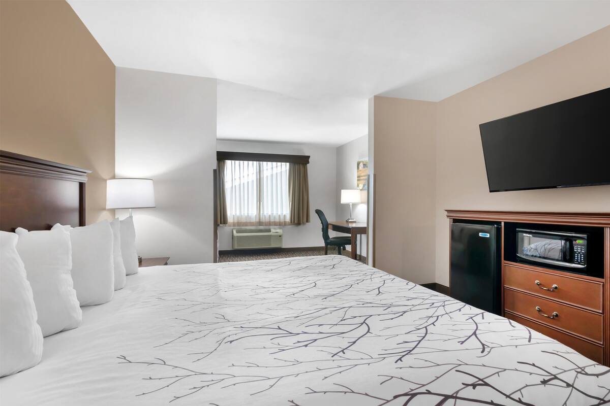 A hotel room with a large bed, a flat-screen TV, a microwave, and a desk with a chair.