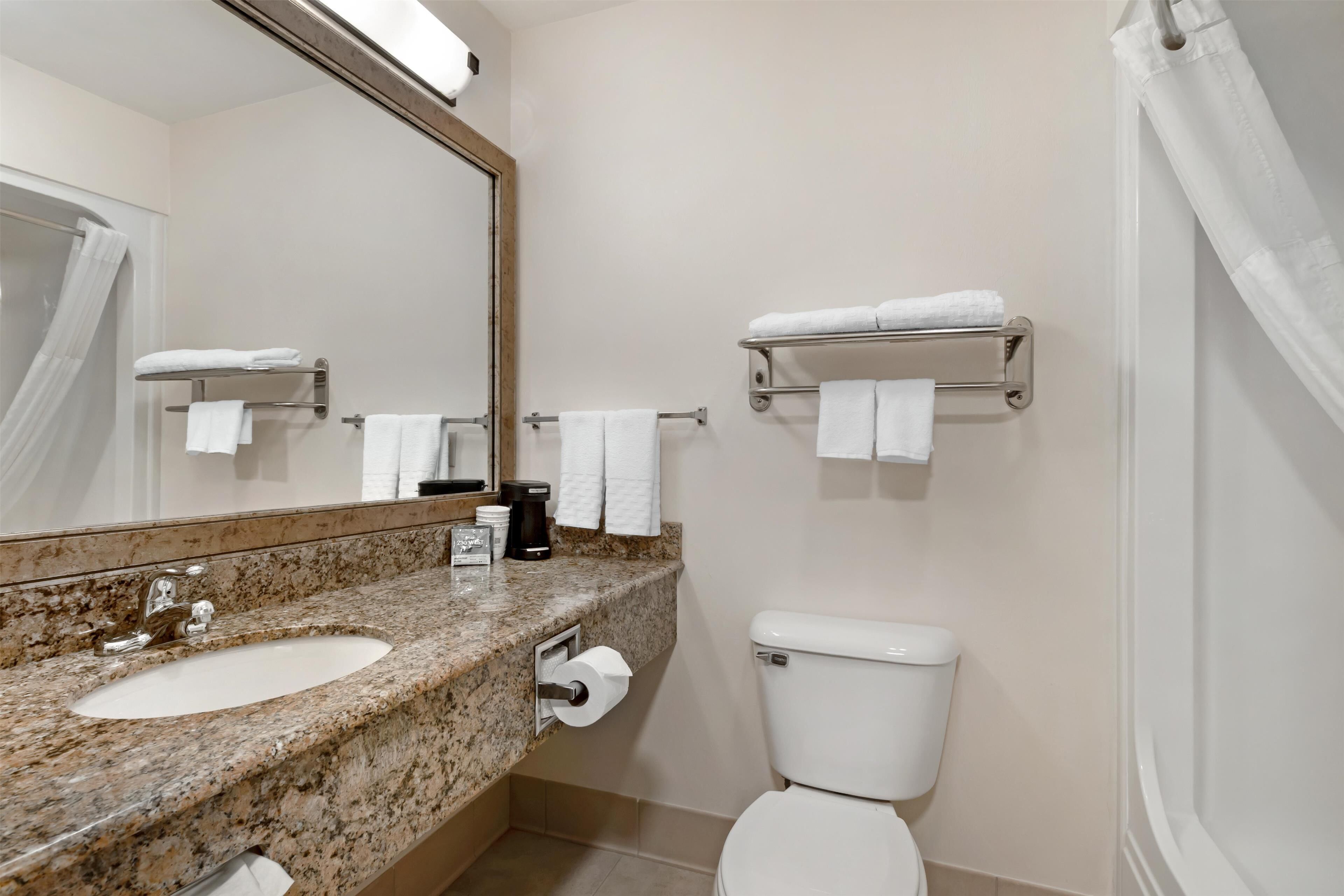 Une salle de bain avec un lavabo à vasque en granit, des toilettes et un miroir.