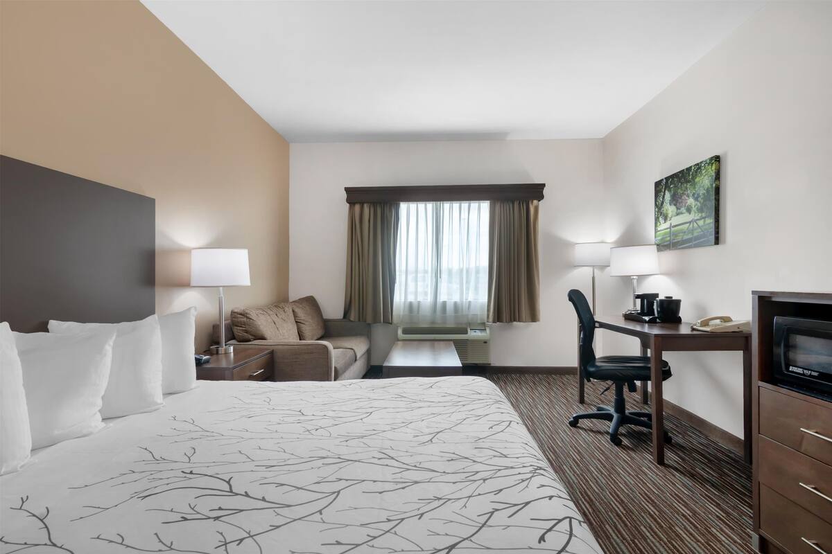 A hotel room with a large bed, a desk with a chair, a TV, and a window with curtains.