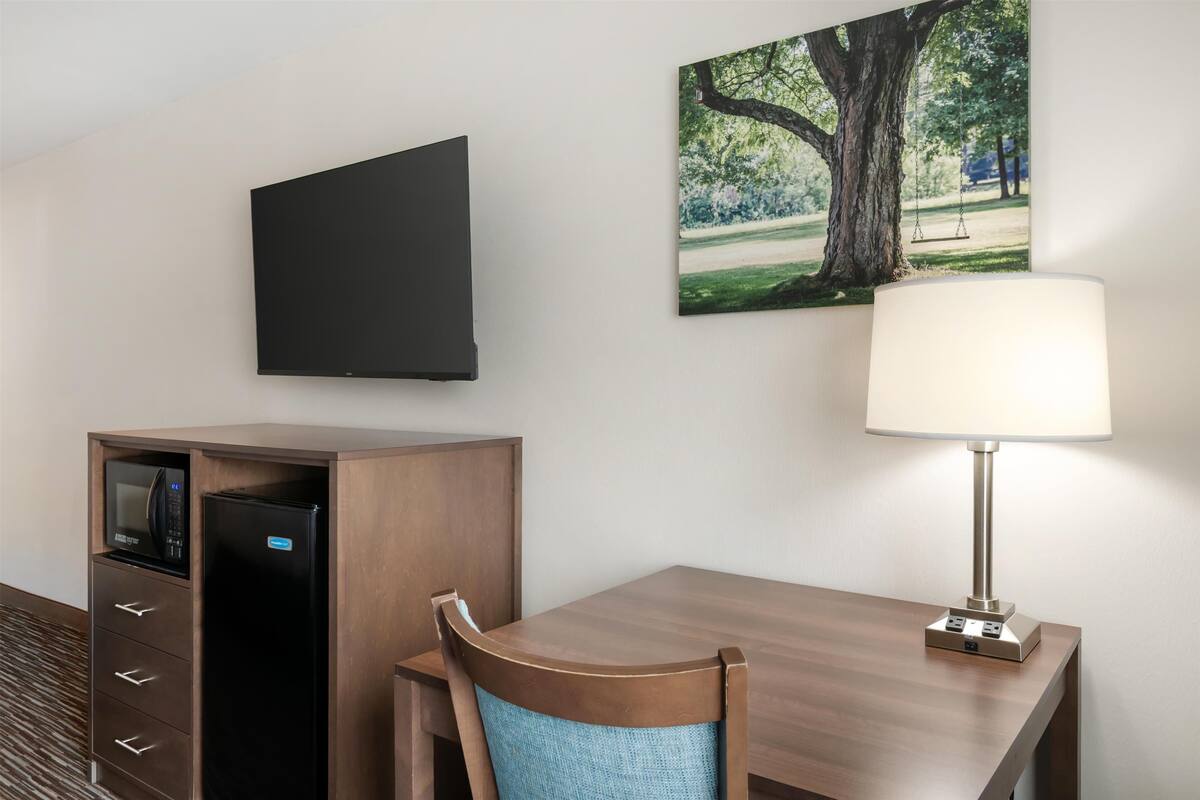 blackout curtains, iron/ironing board, free cots/infant beds