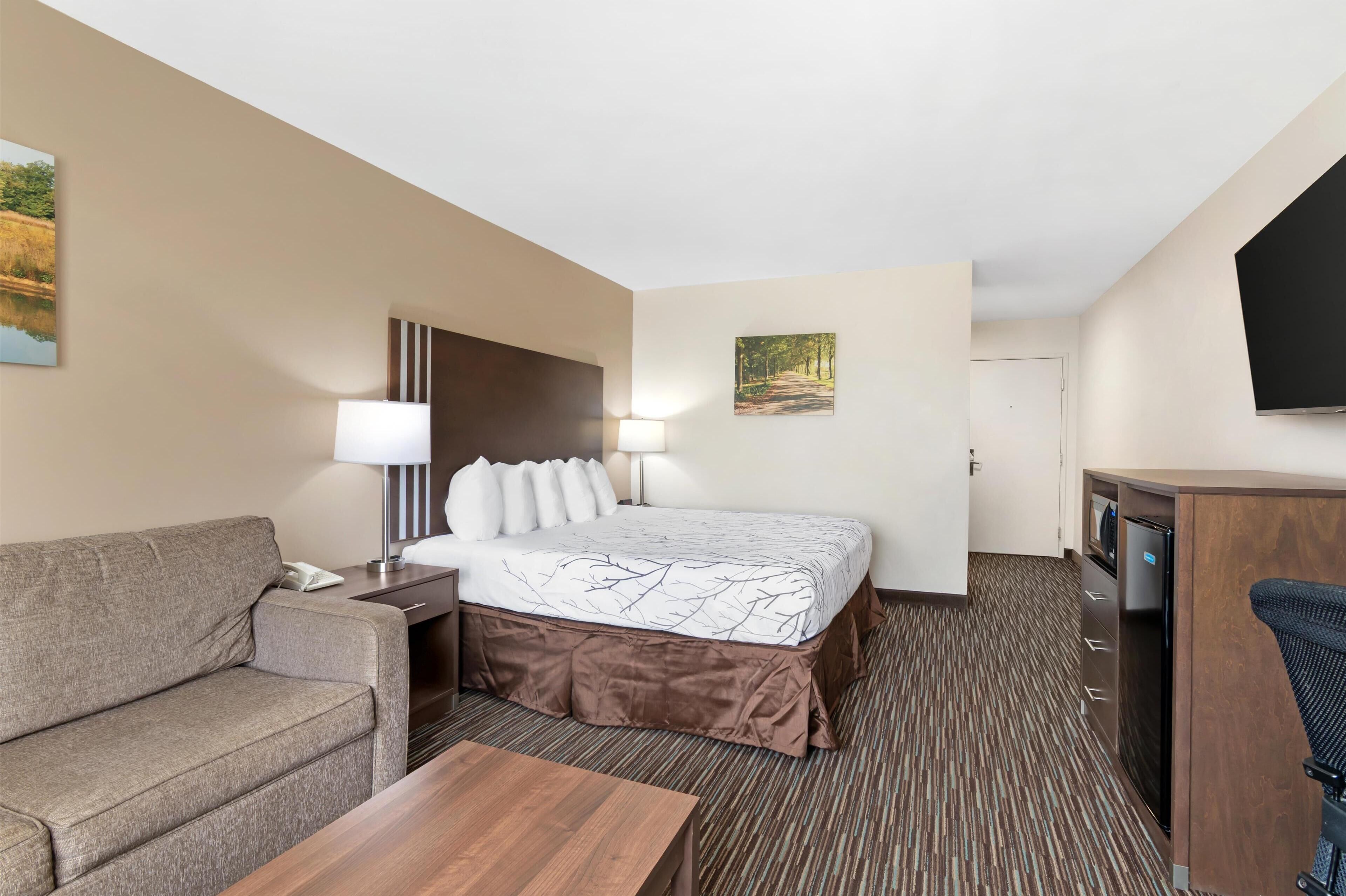 Une chambre d’hôtel avec un lit, un canapé, un bureau, une télévision et une porte.