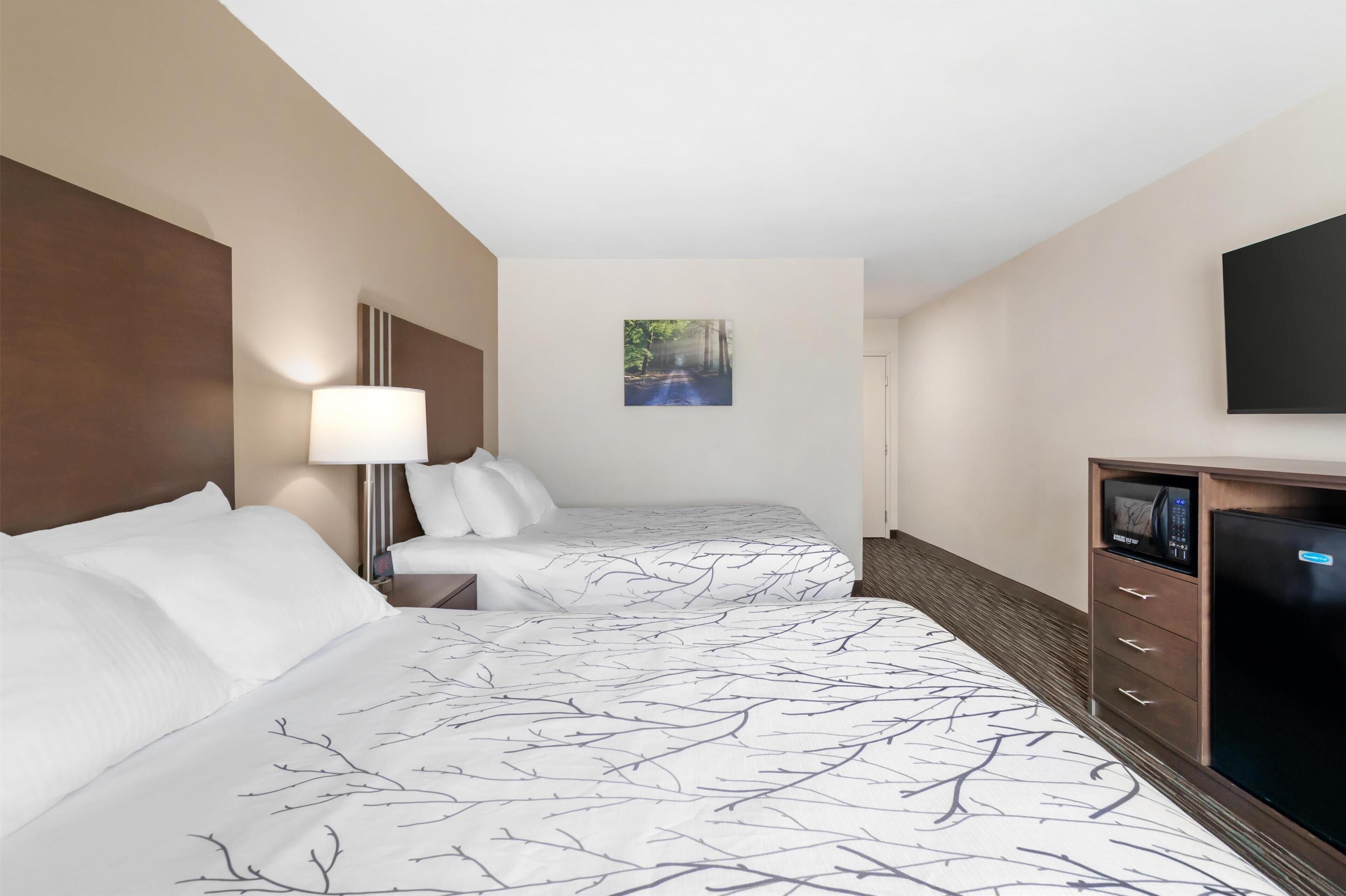 A hotel room with two beds, a nightstand with a lamp, a flat-screen TV, and a painting on the wall.