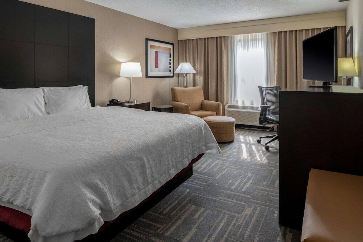 客房内保险箱、办公桌、熨斗/熨衣板、免费 WiFi