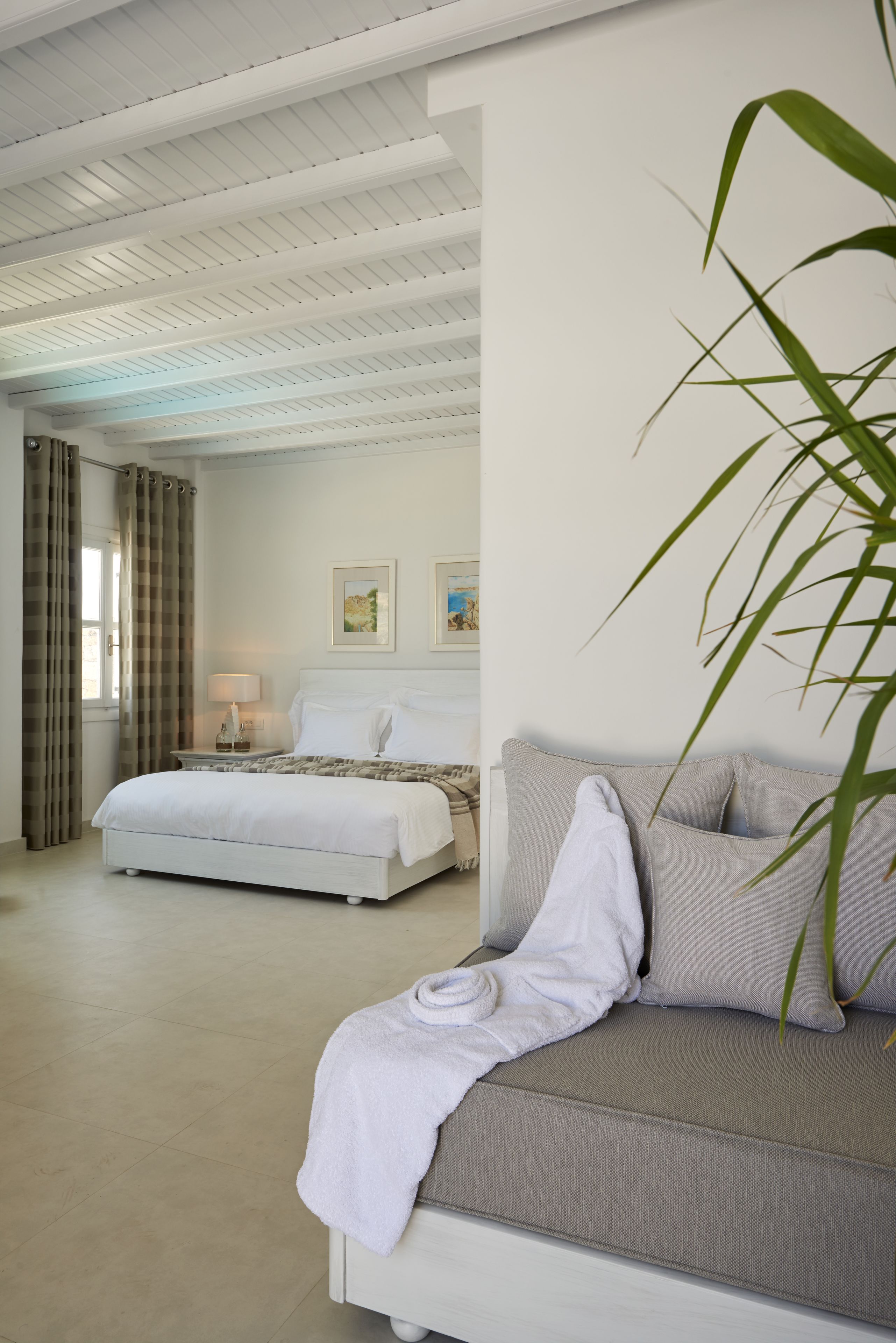 A hotel room with a bed, a sofa, a nightstand, a lamp, and a plant.