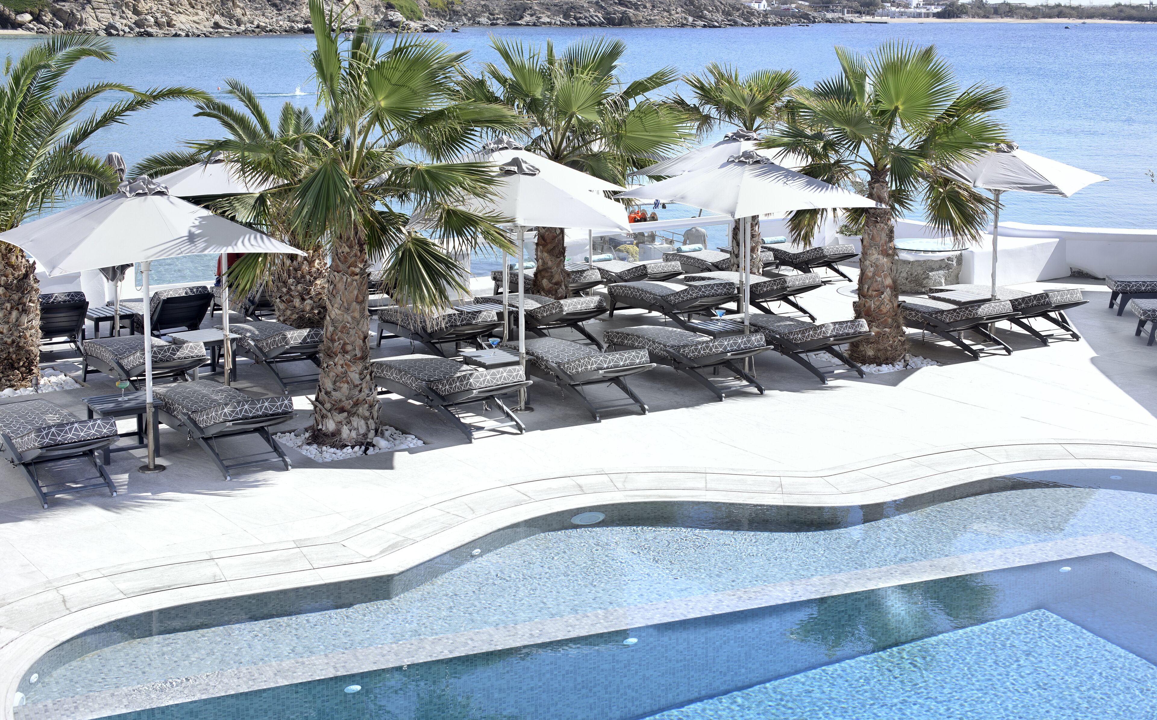 Zona junto a la piscina con tumbonas, sombrillas y palmeras.