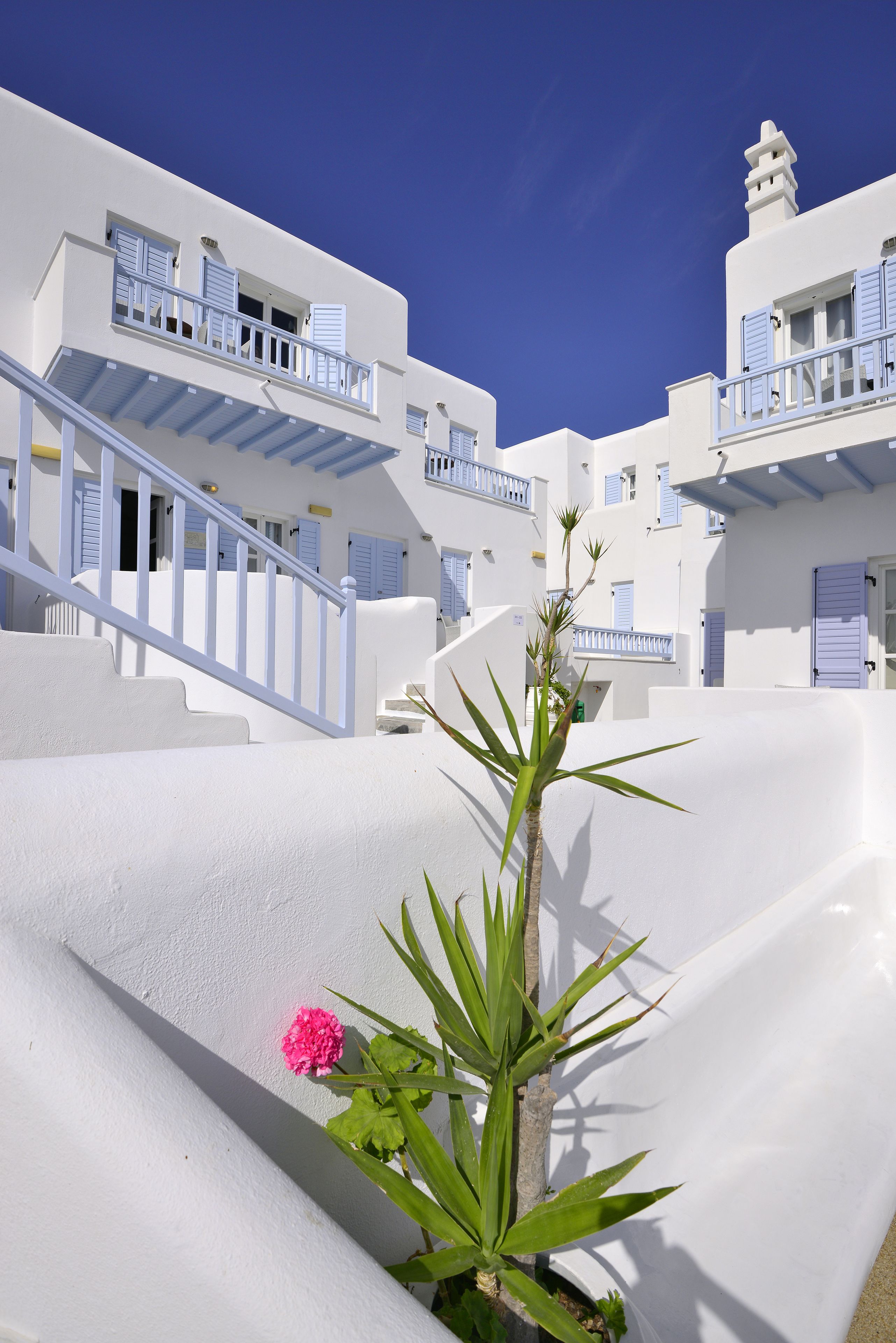 Foto - Petinos Beach Hotel