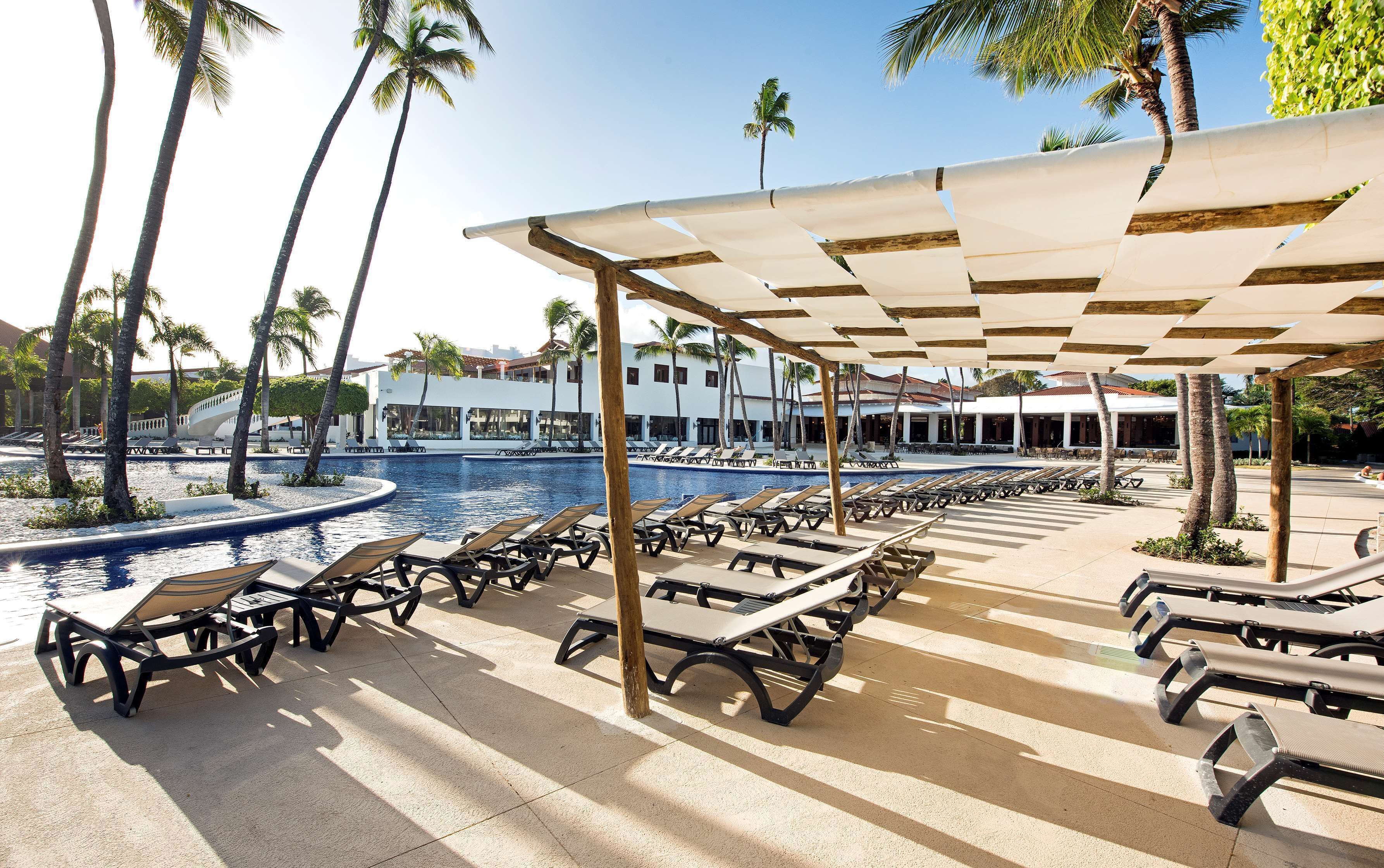 A poolside area with sun loungers, a pool, and palm trees.