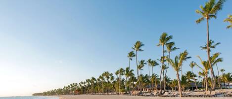 A beach with rows of palm trees and sun loungers along the shoreline.