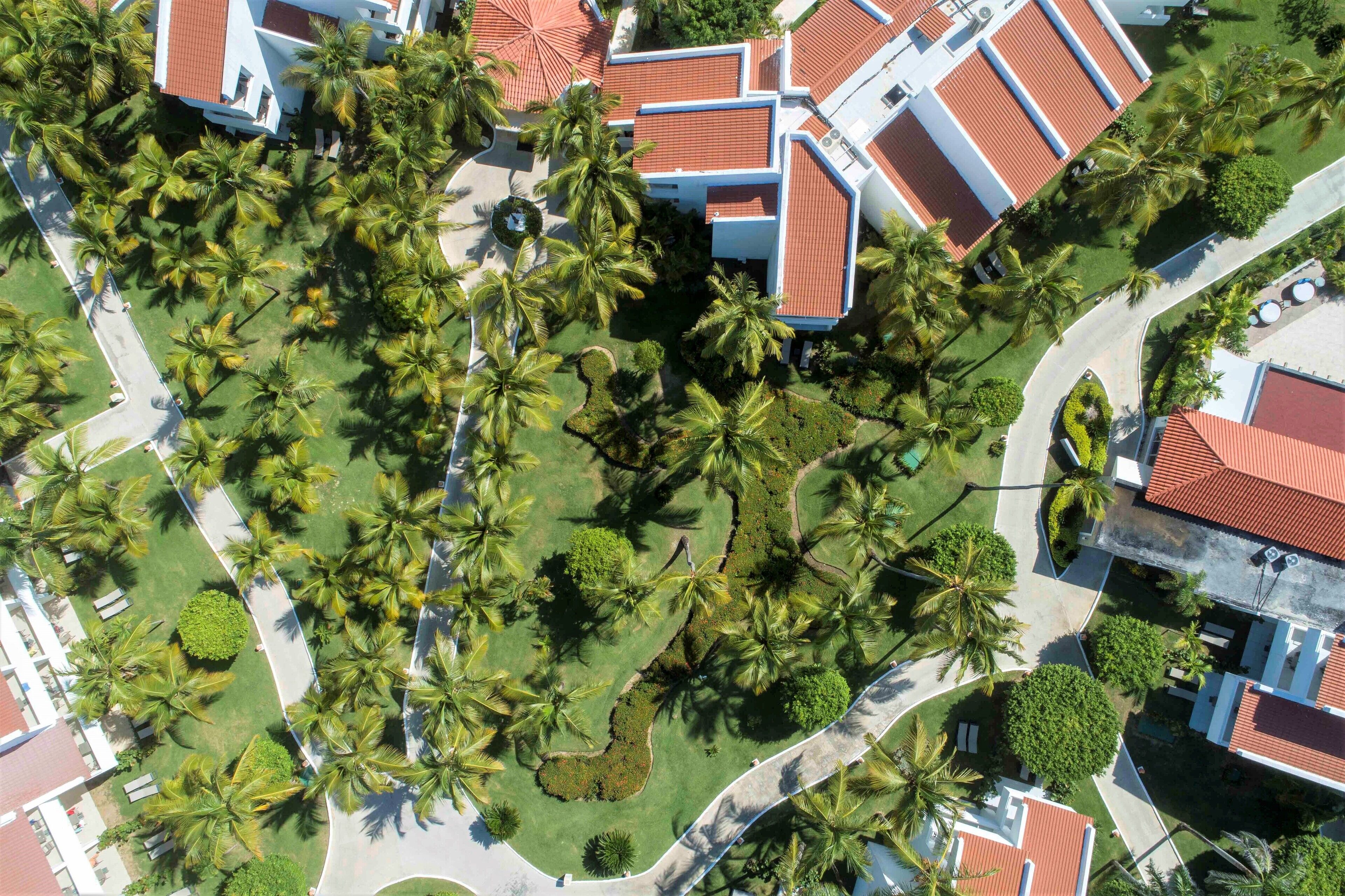 Foto - Occidental Punta Cana - All Inclusive