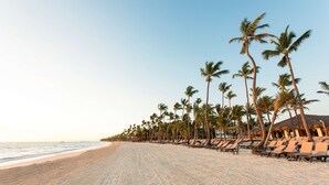 Ein Strand mit Palmenreihen und Liegestühlen.