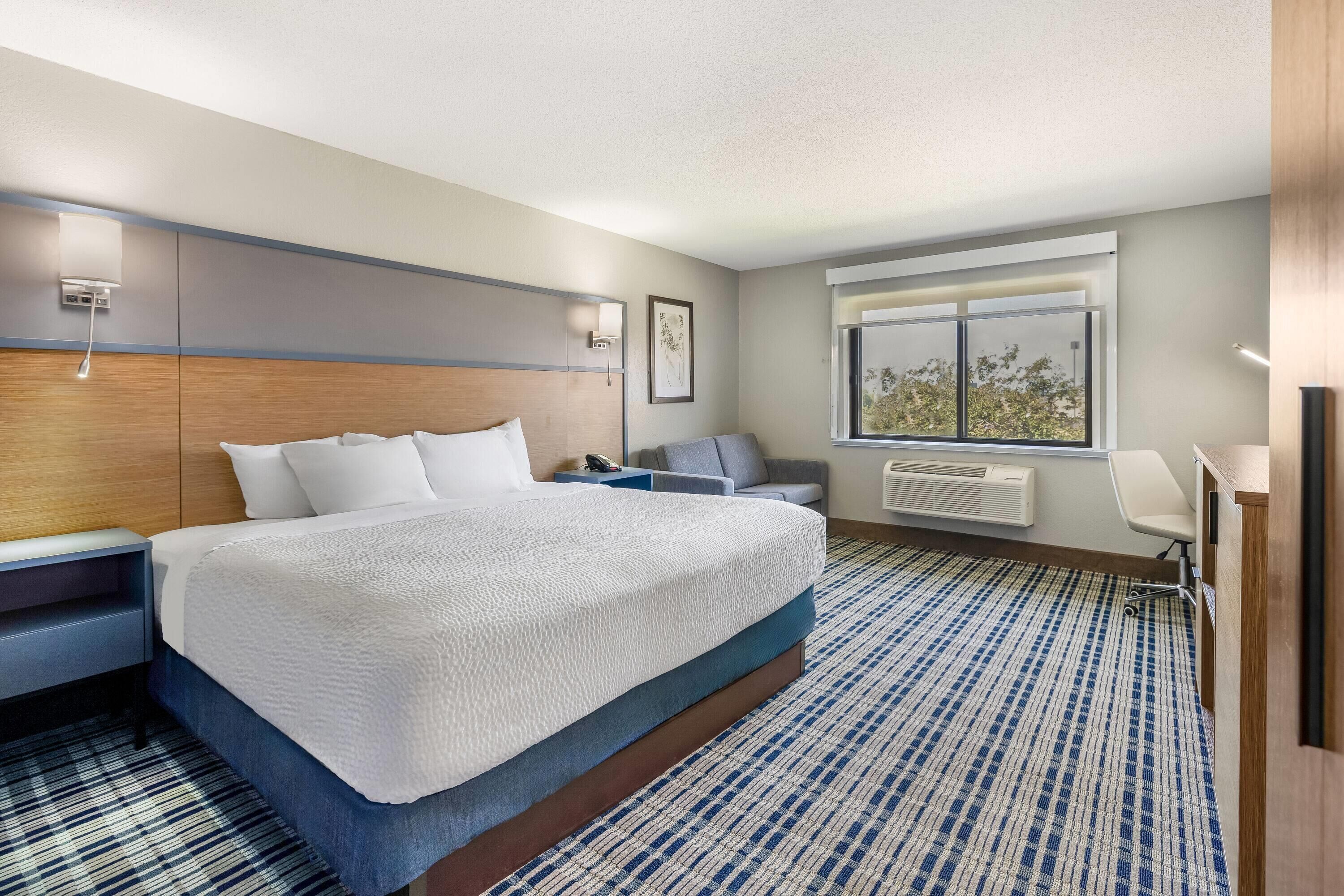 Habitación de hotel con una cama grande, un escritorio, una silla, un ventanal y un radiador.