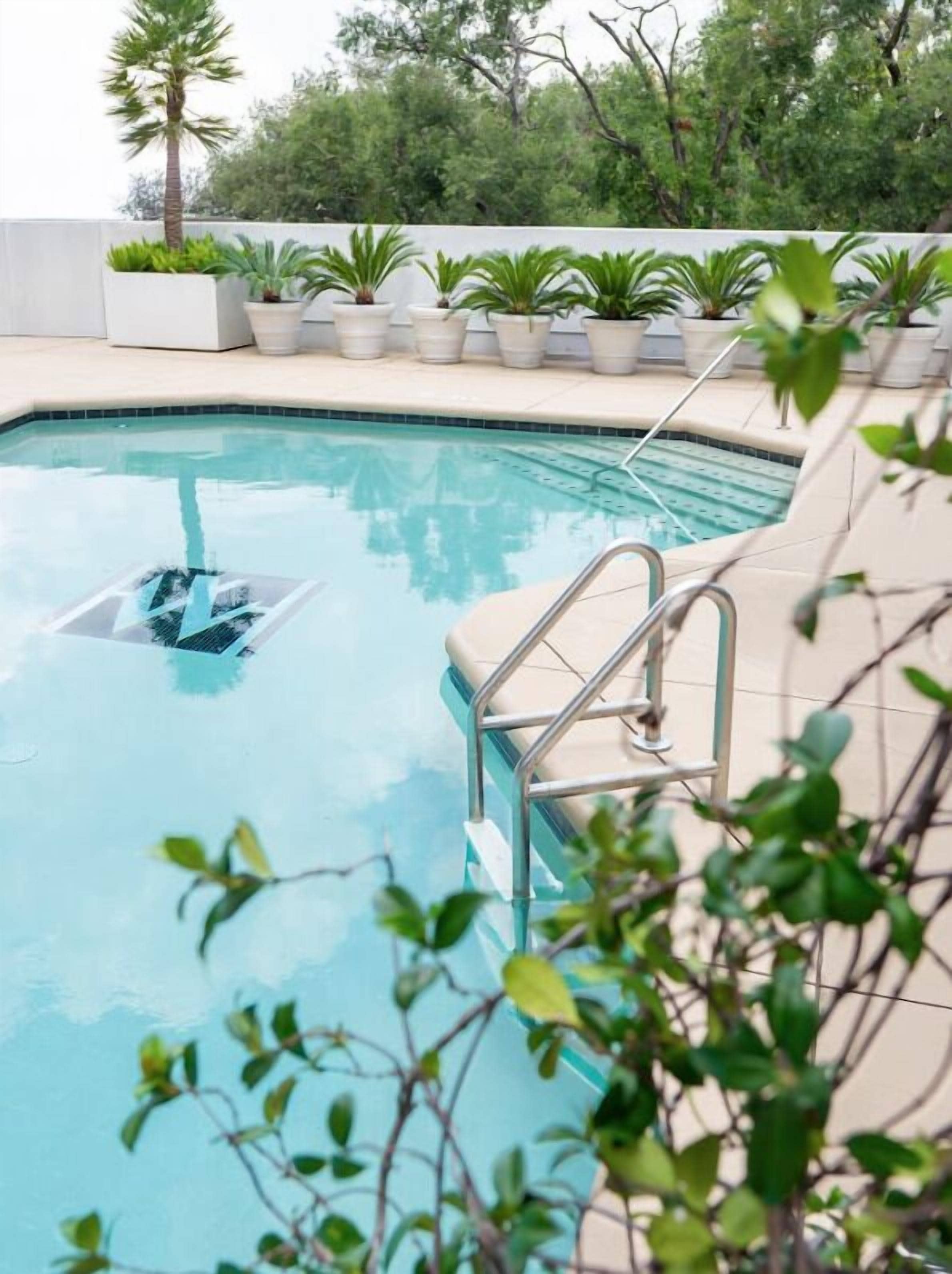 Une piscine avec un escalier en métal, entourée de plantes en pot et avec des arbres en arrière-plan.