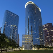 The Whitehall Houston