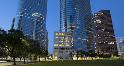 The Whitehall Houston