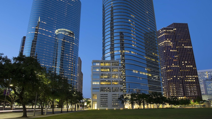 The Whitehall Houston