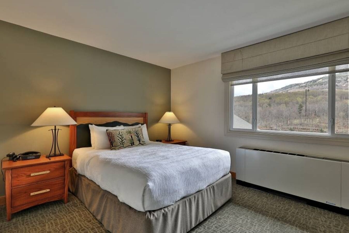 suite, 1 bedroom | desk, blackout curtains, iron/ironing board, free wifi