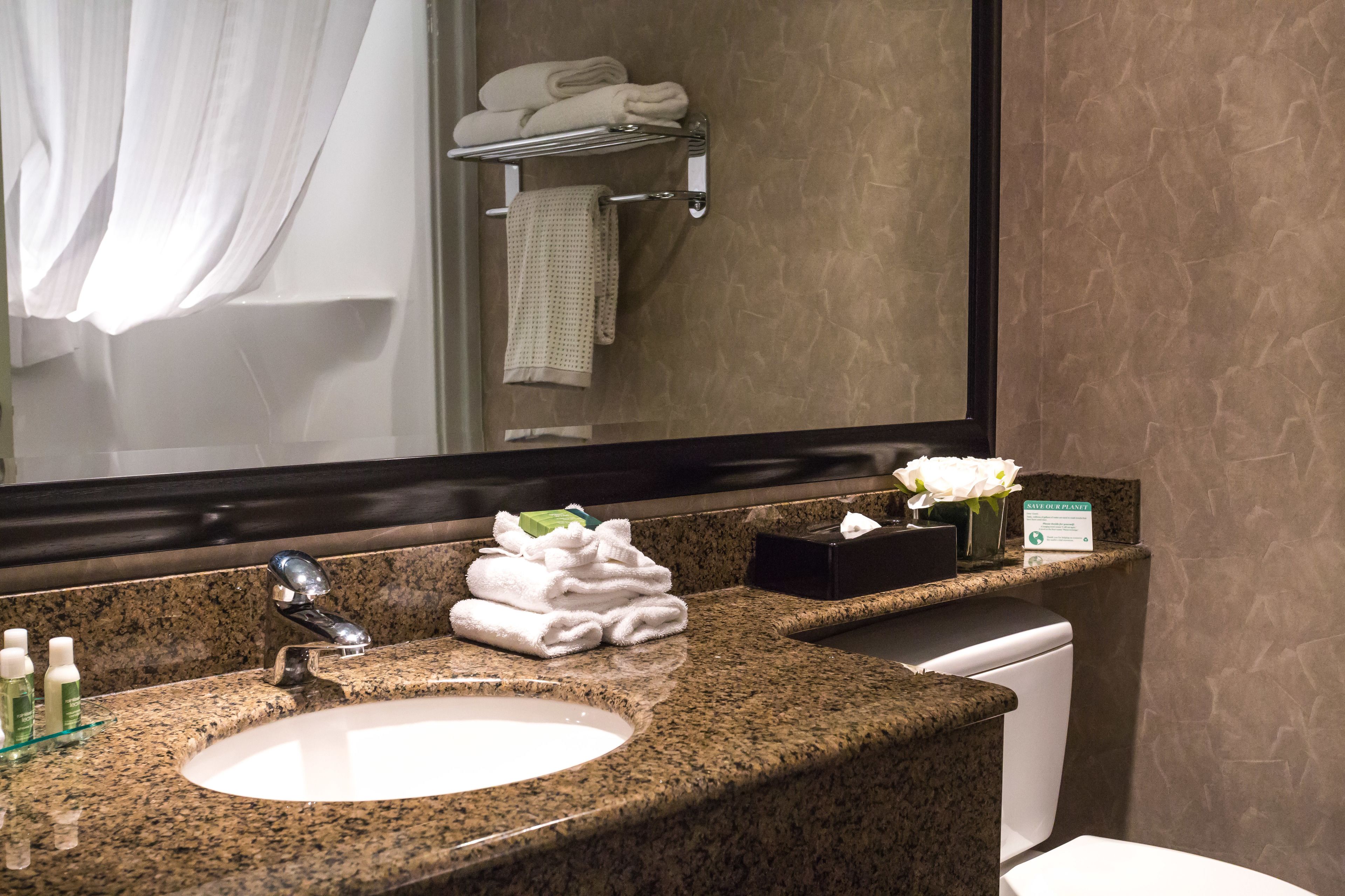 combined shower/bathtub, free toiletries, hair dryer, towels