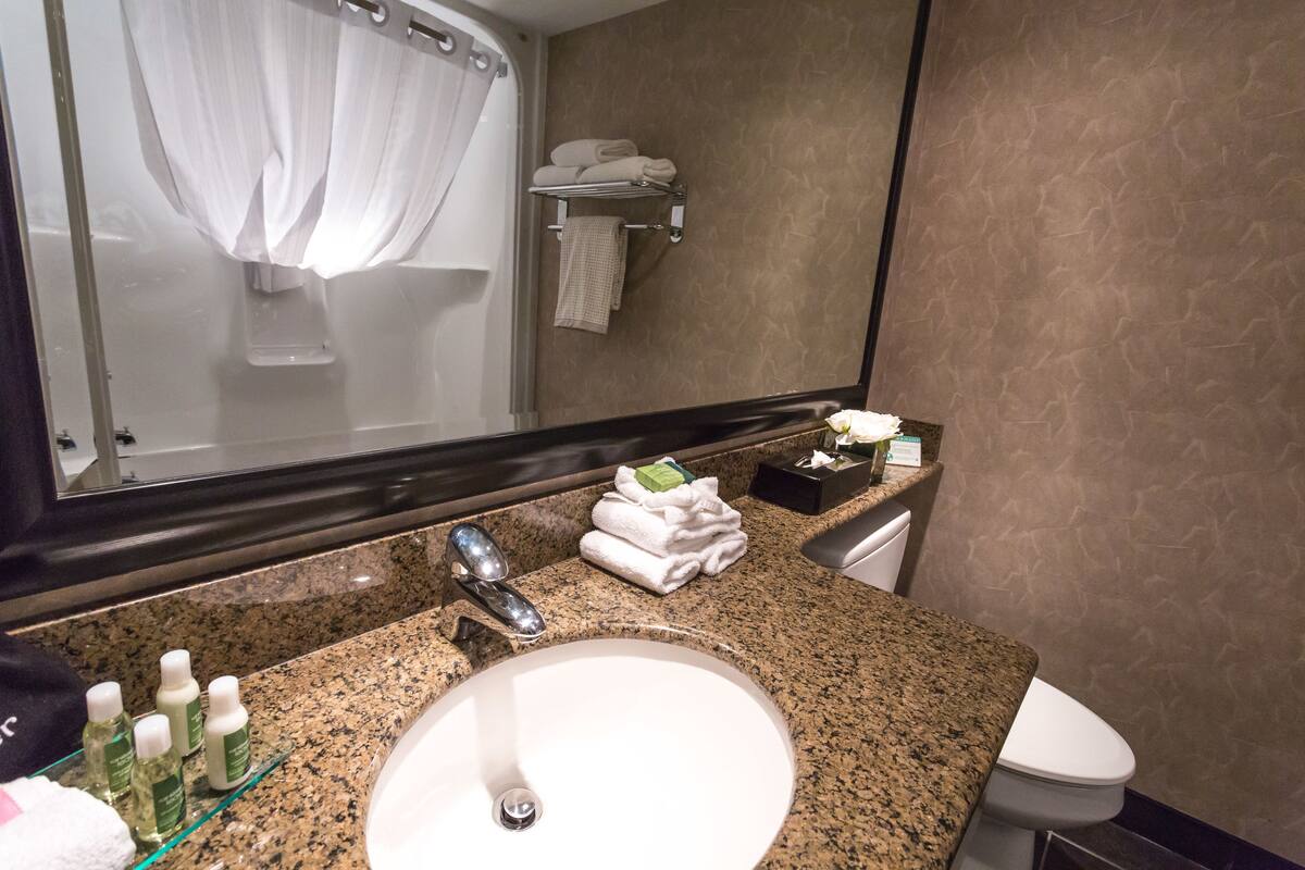 combined shower/bathtub, free toiletries, hair dryer, towels