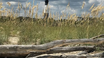 Un faro a lo lejos, rodeado de hierba alta y un primer plano arenoso.