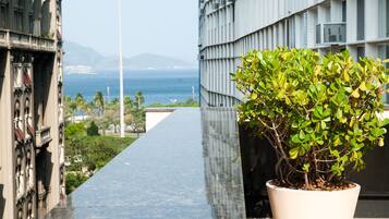 Une plante en pot sur un balcon, avec vue sur l’océan et un bâtiment en arrière-plan.