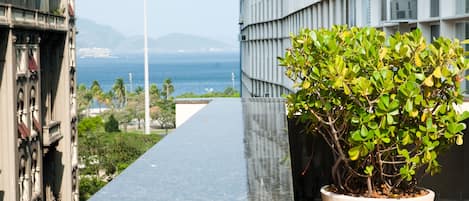 A potted plant on a balcony with a view of the ocean and a building in the background.