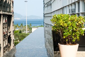 Uma planta em vaso numa varanda com vista para o oceano e um edifício ao fundo.