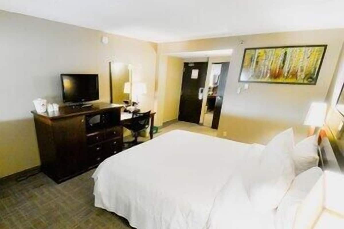 Escritorio, tabla de planchar con plancha, wifi gratis y ropa de cama