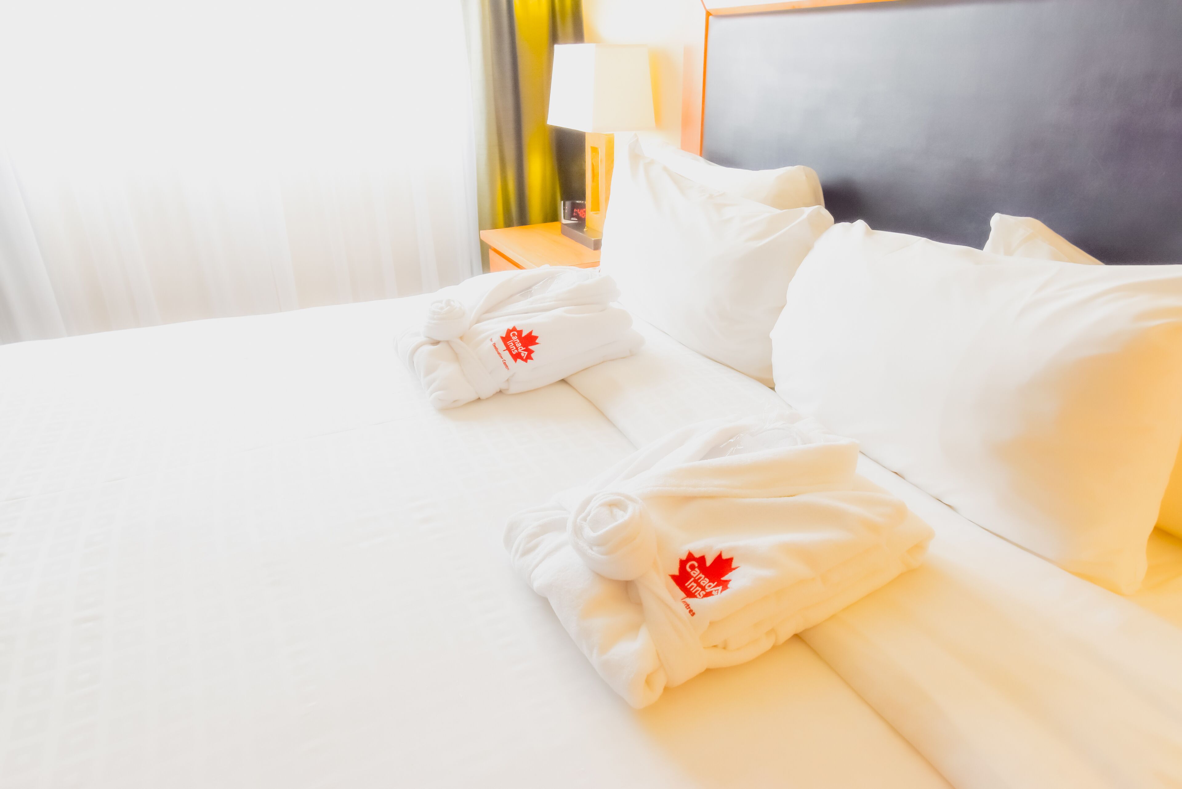 business suite | 1 bedroom, desk, iron/ironing board, free wifi