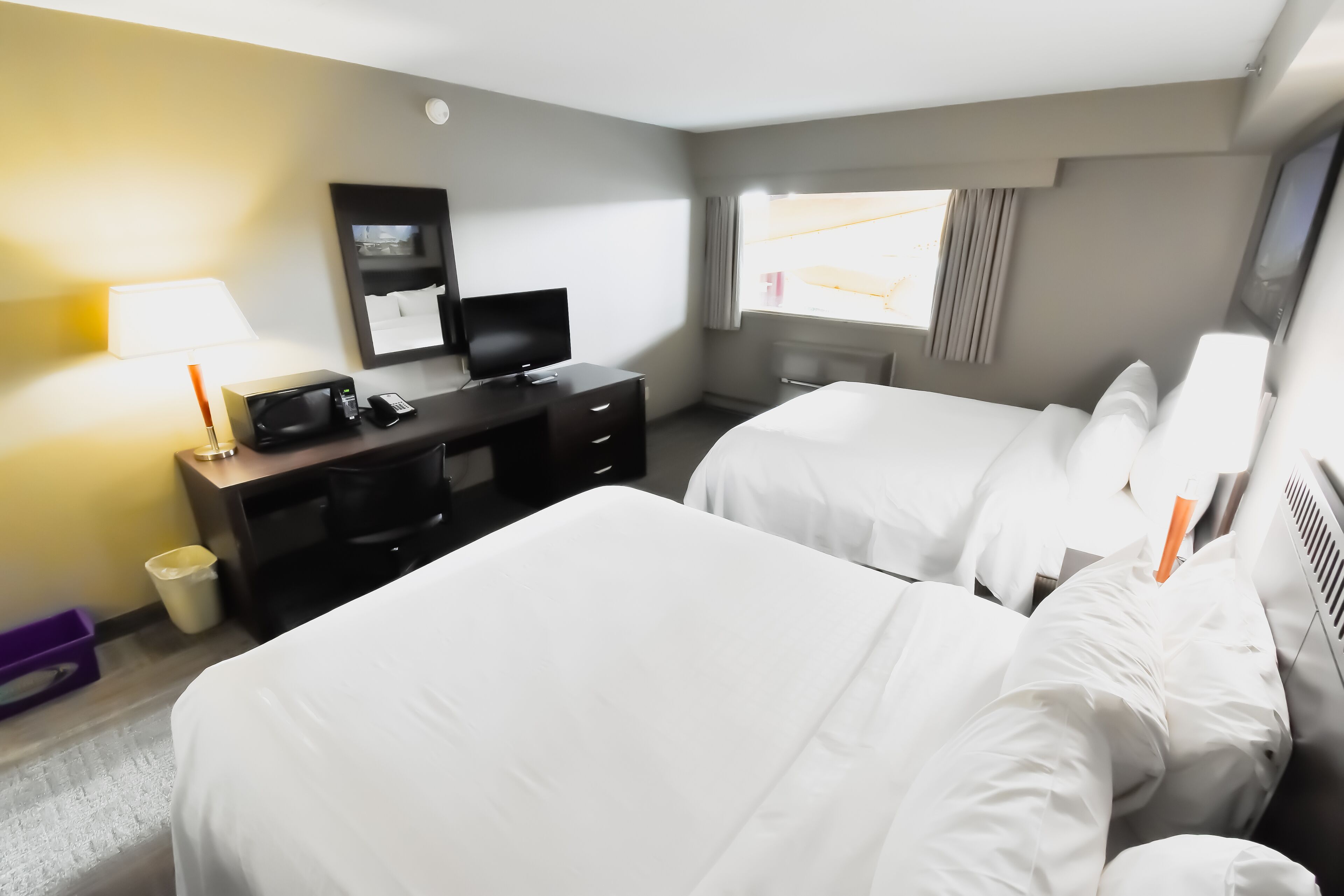 standard room, 2 queen beds | 1 bedroom, desk, iron/ironing board, free wifi