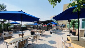 Un patio al aire libre con mesas y bancos bajo sombrillas azules, rodeado de plantas en macetas y un edificio al fondo.