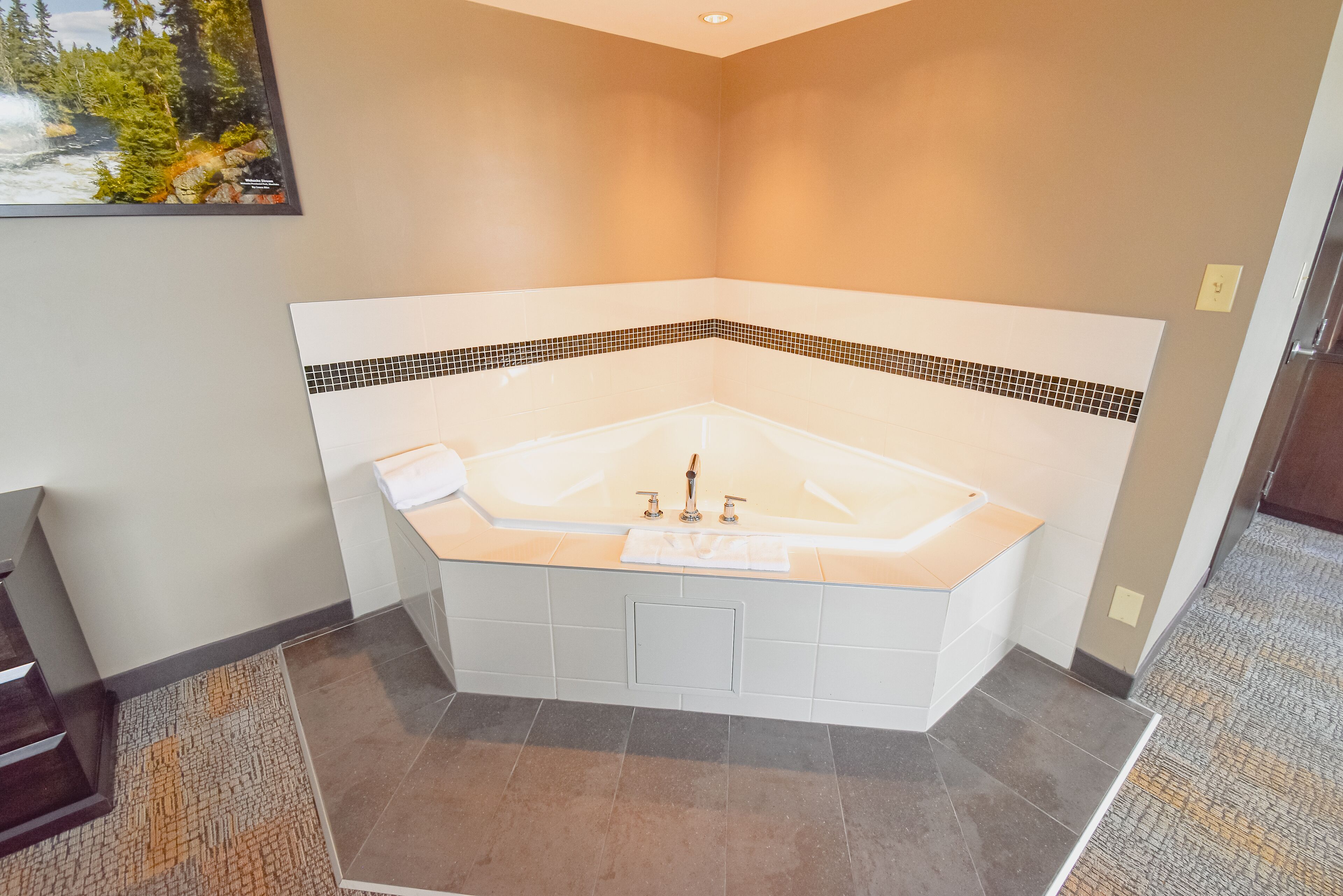 executive room | jetted bathtub