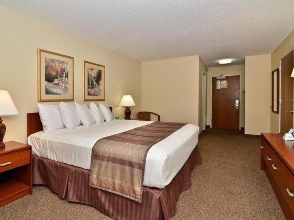 Hypo-allergenic bedding, desk, laptop workspace, blackout drapes