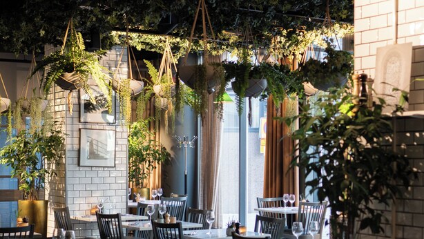 Un comedor interior con mesas y sillas, plantas colgantes y una pared de ladrillo.