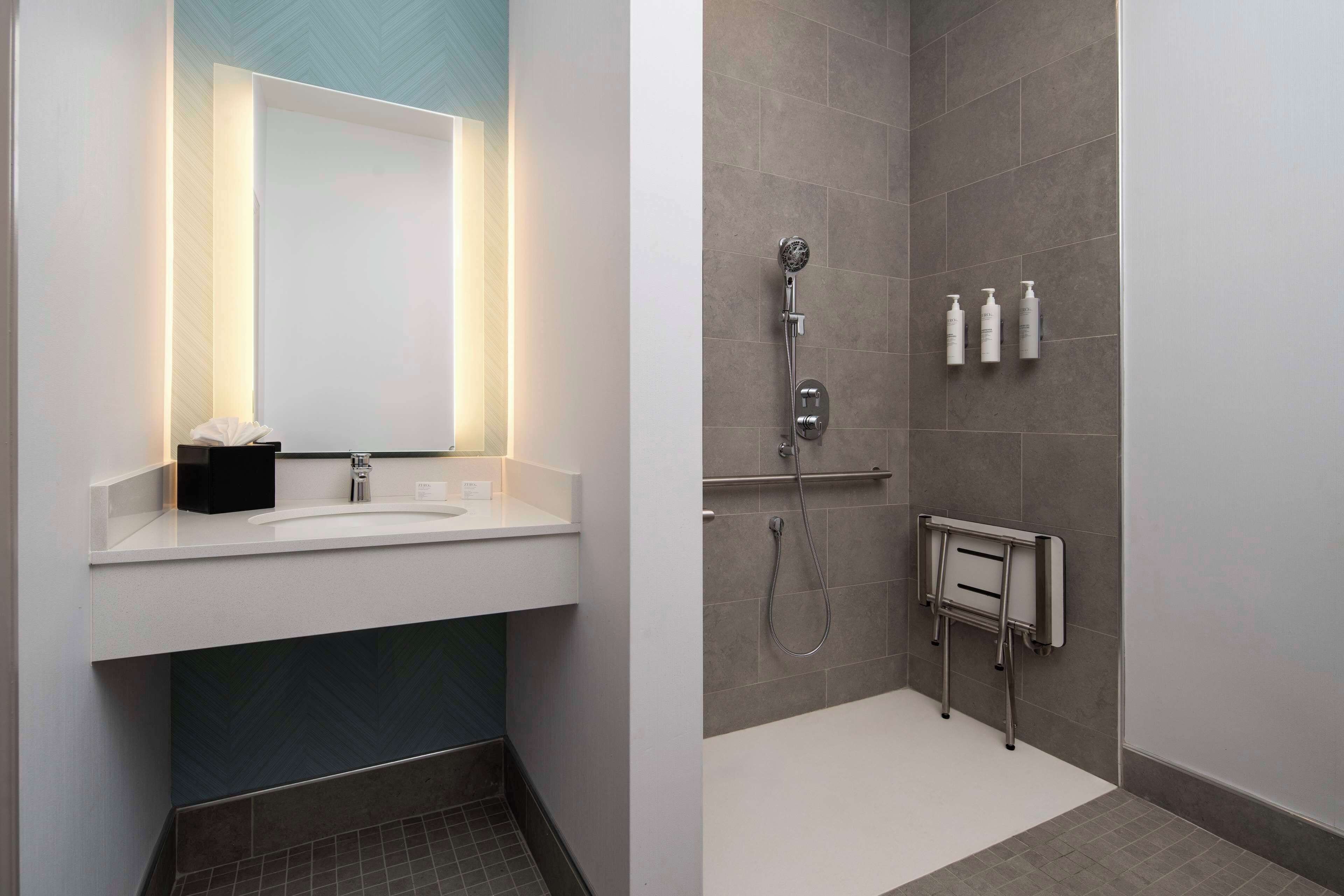 room, 2 double beds, accessible (roll-in shower) | bathroom shower