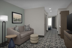 32-英寸纯平电视 （配备有线频道）、液晶电视