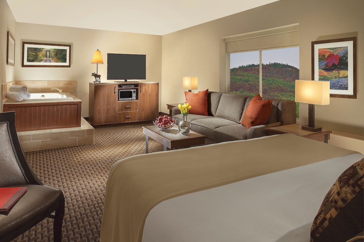 Une chambre d’hôtel avec un grand lit, un canapé, un bureau avec une lampe, une télévision, une salle de bain avec une baignoire et une vue sur une forêt.