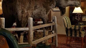 Un alce montado en una cerca de madera en una habitación con un sillón de cuero verde y una lámpara.