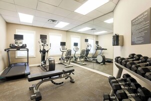 A gym with treadmills, elliptical machines, a bench, and dumbbells.