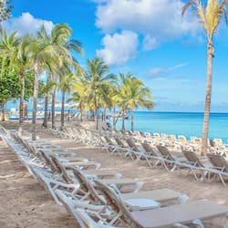 Private beach, sun loungers, beach towels, beach massages