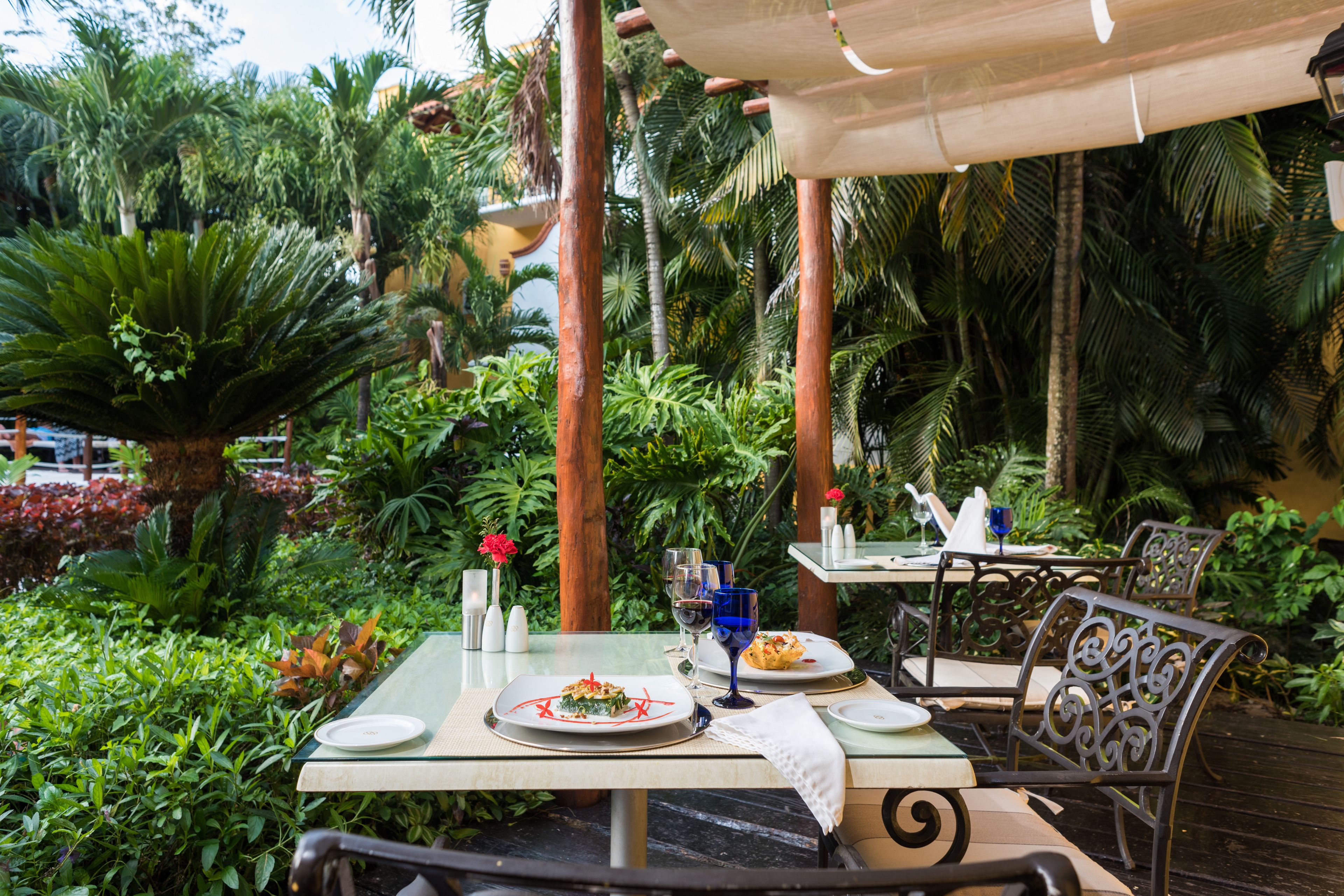 An outdoor dining area with tables and chairs, surrounded by lush greenery and palm trees.