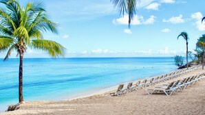 A beach with rows of sun loungers and palm trees. - Occidental Cozumel - All Inclusive (Cozumel)