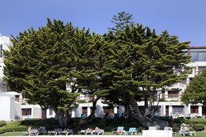 Jardín